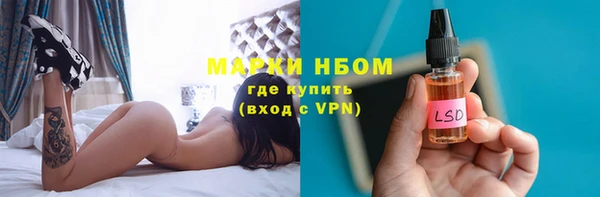 стаф Михайловск