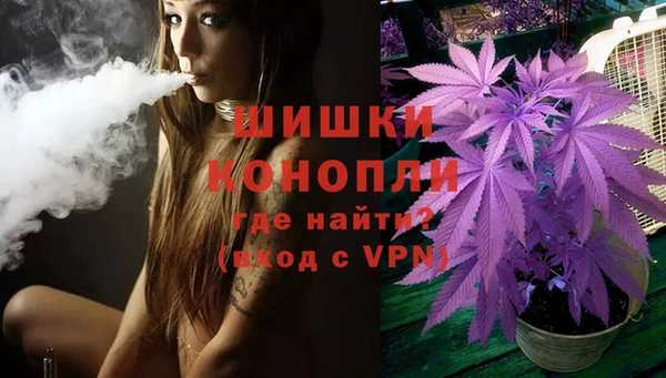 spice Михайлов