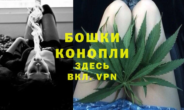 spice Михайлов